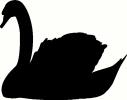 Swan (1) vinyl decal
